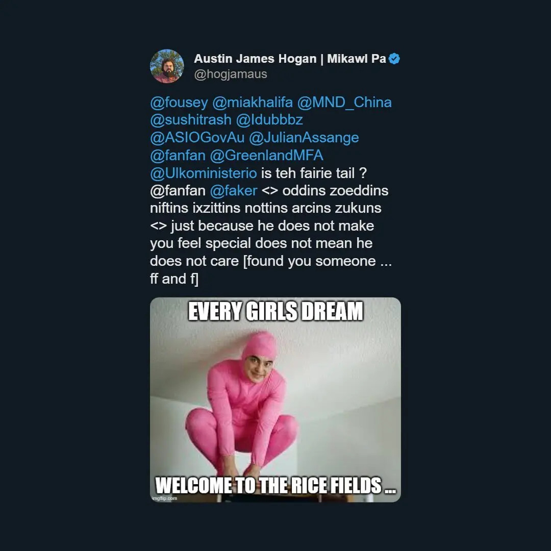 Latest tweet snapshot in Barbiecore pink collage style